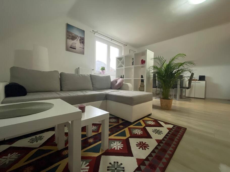 Apartments Heart 卢布尔雅那 外观 照片